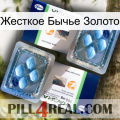 Жесткое Бычье Золото viagra5